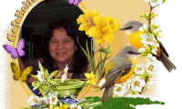 2013geeske.png